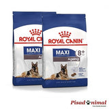 ROYAL CANIN MAXI AGEING 8+ Pienso Perros Mayores de Raza Grande