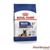 ROYAL CANIN MAXI AGEING 8+ Pienso Perros Mayores de Raza Grande