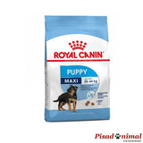 ROYAL CANIN MAXI PUPPY Pienso para Cachorros de Raza Grande