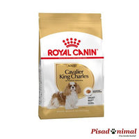 Pienso ROYAL CANIN CAVALIER KING CHARLES ADULT