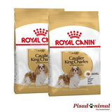 Pienso ROYAL CANIN CAVALIER KING CHARLES ADULT pack de 2 unidades