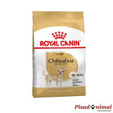 Pienso ROYAL CANIN CHIHUAHUA ADULT