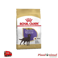 Pienso ROYAL CANIN LABRADOR ADULT STERILIZED