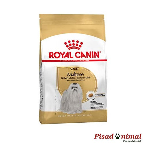 ROYAL CANIN MALTESE ADULT Pienso para Perros Adultos de Raza Bichón Maltés