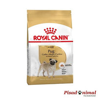 Pienso Pug Adult de Royal Canin 3 Kg