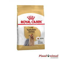 ROYAL CANIN YORKSHIRE TERRIER