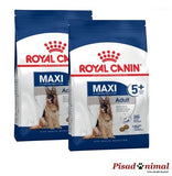 ROYAL CANIN MAXI ADULT 5+ Pienso para Perros de Raza Grande (A Partir de 5 años)