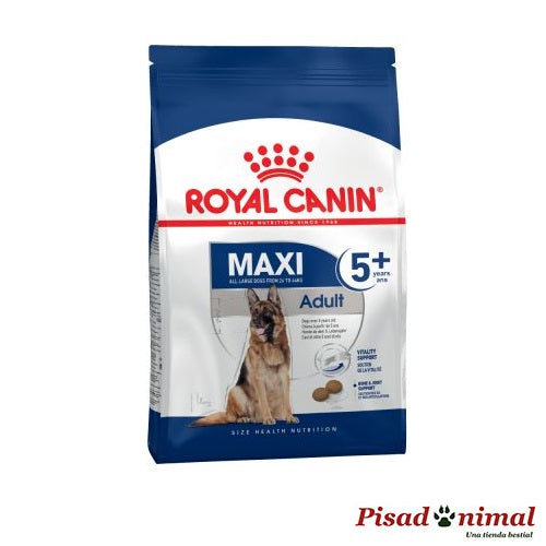ROYAL CANIN MAXI ADULT 5+ Pienso para Perros de Raza Grande (A Partir de 5 años)
