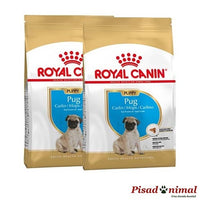ROYAL CANIN PUG JUNIOR Pienso para Cachorros de Raza Carlino Pack de 2 unidades