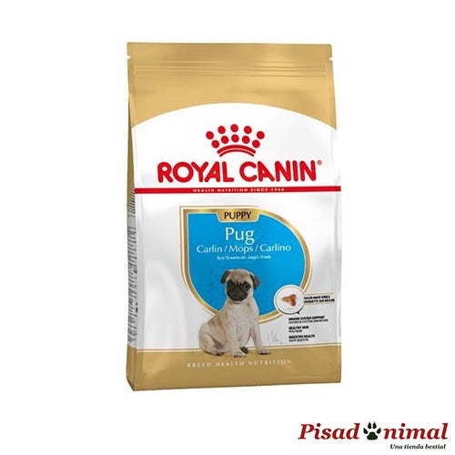 ROYAL CANIN PUG JUNIOR Pienso para Cachorros de Raza Carlino