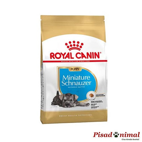 ROYAL CANIN MINIATURE SCHNAUZER PUPPY