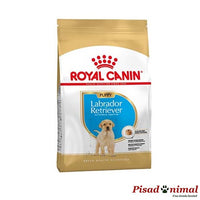 Pienso ROYAL CANIN LABRADOR RETRIEVER PUPPY