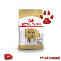 ROYAL CANIN BEAGLE ADULT Pack de 2 unidades