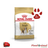 ROYAL CANIN BEAGLE ADULT Pack de 2 unidades
