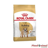 ROYAL CANIN BULLDOG INGLÉS