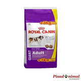 ROYAL CANIN GIANT ADULT Pienso para Perros Adultos Gigantes