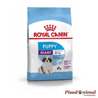 ROYAL CANIN GIANT PUPPY Pienso para Cachorros de Tamaño Gigante (Hasta 8 Meses)