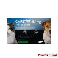 pastilla pulgas capstar gatos