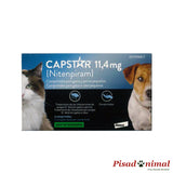 pastilla pulgas capstar gatos