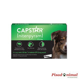 capstar perros grandes tratamiento pastilla pulgas