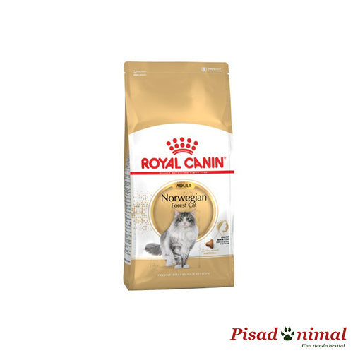 Pienso ROYAL CANIN NORWEGIAN FOREST CAT para Gatos Bosque de Noruega