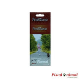 SANDIMAS Ramal Negro Acolchado y con Bandas Reflectantes para Running