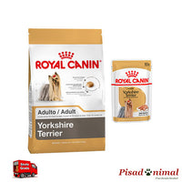 12 Sobres + Saco 7,5Kg Alimento Húmedo ROYAL CANIN YORKSHIRE 85gr para Perros Adultos
