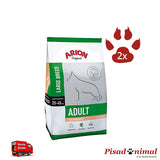 Pack Arion Original Adult Large Breed Salmón
