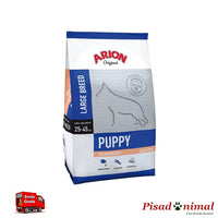 Arion original puppy large breed salmon