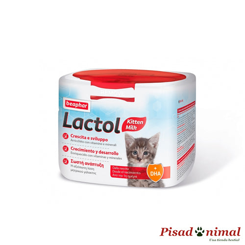 Lactol Kitten Milk 250 gr para gatitos de Beaphar