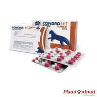 Condroprotector Bioiberica Condrovet Force HA para gatos