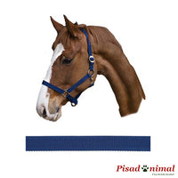 KERBL Cabezada Nylon de colores para Caballo