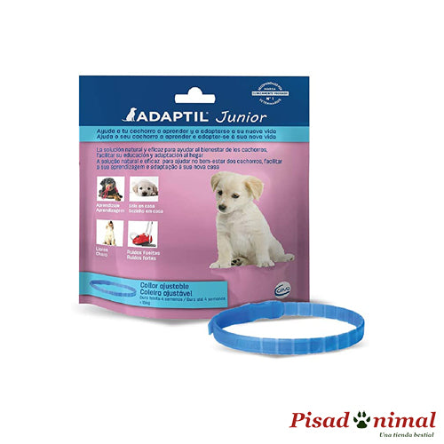 Adaptil Junior collar calmante para cachorros de Ceva