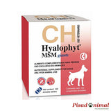Hyalophyt MSM Giants Chemical Iberica condroprotector para perros gigantes 120 comprimidos