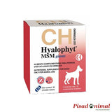 Hyalophyt MSM Giants Chemical Iberica condroprotector para perros gigantes 30 comprimidos