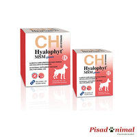 Hyalophyt MSM Giants Chemical Iberica condroprotector para perros gigantes