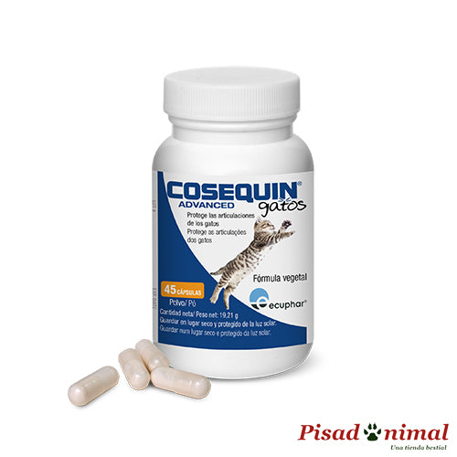 condroprotector para gatos cosequin advanced