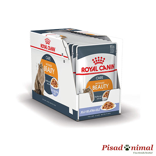 Gelatina Royal Canin Intense Beauty - 12x85gr