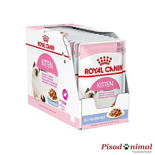 Gelatina Royal Canin Kitten - 12x85gr