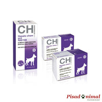 Hepato Chem Pro Problemas Hepáticos Perros