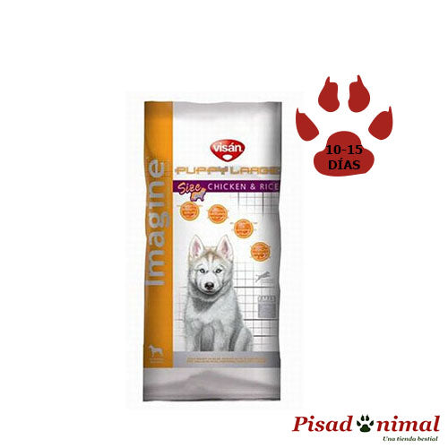 Pienso Imagine Large Puppy&Junior 3Kg para cachorros gigantes