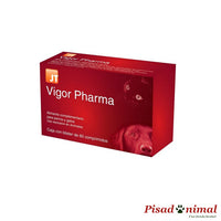 Vigor Pharma 60 comprimidos para mascotas convalecientes de JTPharma