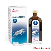 Pienso complementario Livisto Hyalutidin DC para perros y gatos 125ml