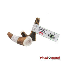 NATURAL HORN Asta de Ciervo para Limpieza Dental de Perros