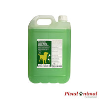 Champú Aloe Vera PetNatura frecuencia para perros y gatos 5L
