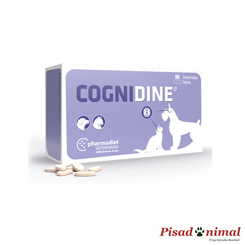 Cognidine 60 comprimidos Pharmadiet