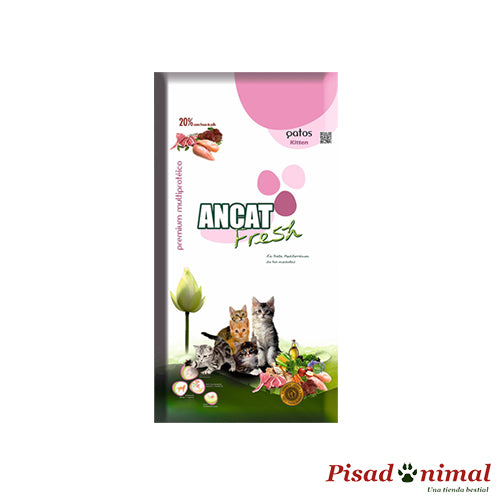 Pienso ANCAT FRESH KITTEN 2Kg para Gatitos y Madres Lactantes