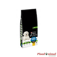 Pienso PURINA PRO PLAN LARGE ROBUST 3 Kg para Cachorros