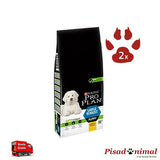 Pienso PURINA PRO PLAN LARGE ROBUST 2 Sacos 12 Kg para Cachorros