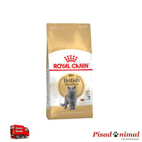 Pienso ROYAL CANIN BRITISH SHORTHAIR 10 Kg para Gatos Adultos